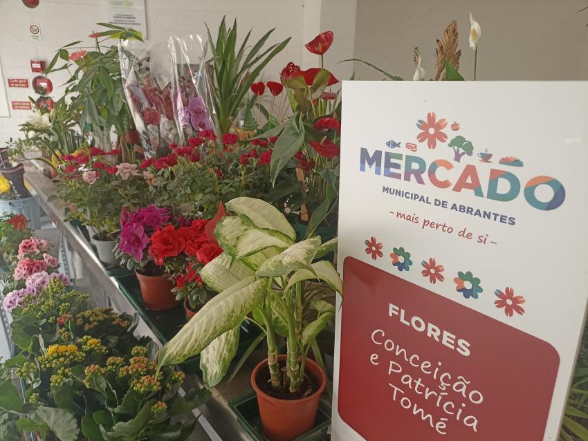 EMISSÃO ESPECIAL da PRIMAVERA 2ª Parte em direto do Intermarché de Abrantes