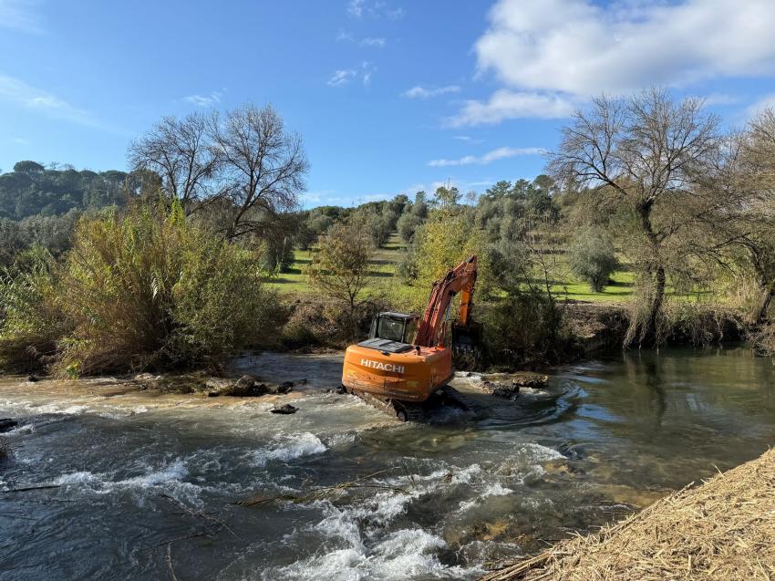 Organizações ambientais alertam para incompatibilidade entre restauro ecológico e poluição no rio Alviela