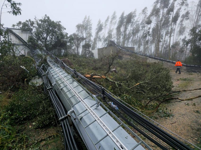 Sem energia em 66% do território, Ferreira do Zêzere pede voluntários especializados em construção