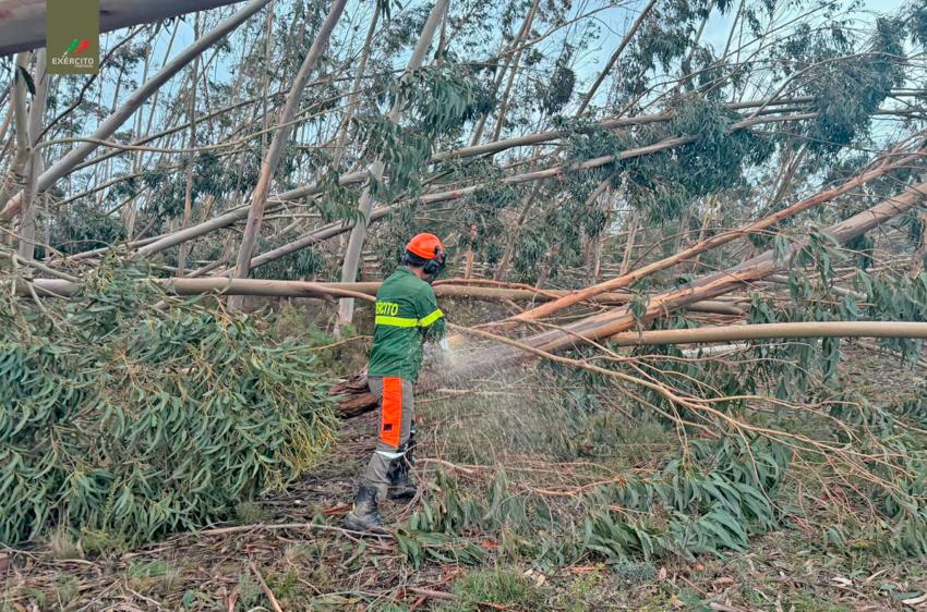 Cerca 10 mil quilómetros de caminhos florestais desobstruídos - Comando Integrado