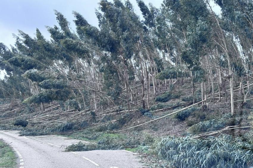 Mau tempo deixa 610 ocorrências no Médio Tejo (c/áudio)