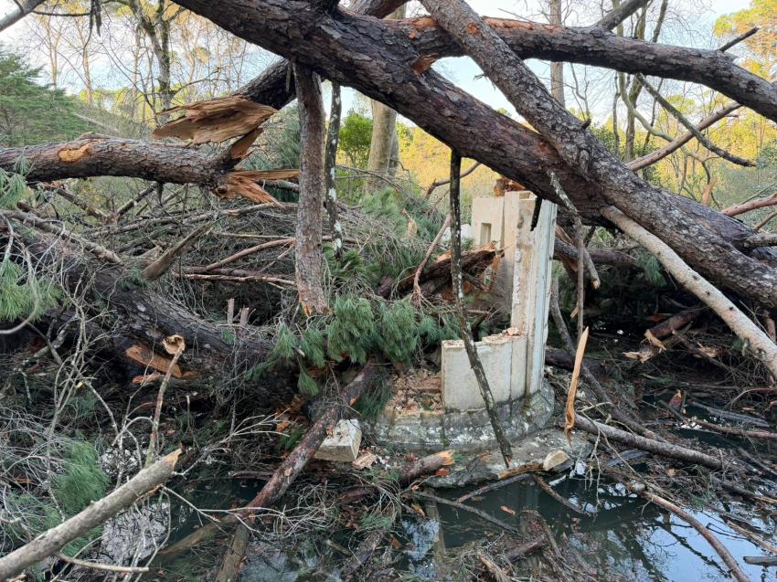 Câmara de Tomar alerta para necessidade de reforço da resposta a fenómenos extremos