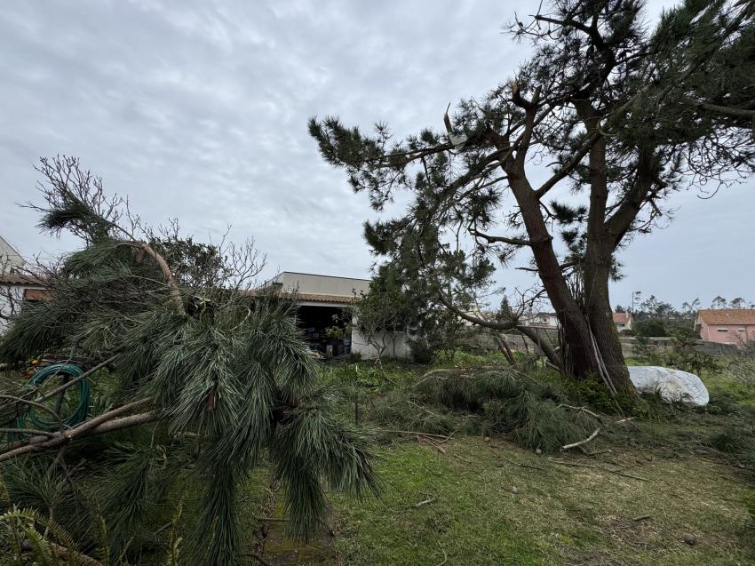 Empresa faz contas sobre quanto custa ignorar a natureza