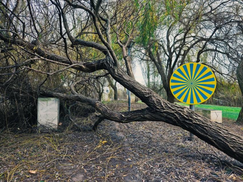 Vila Nova da Barquinha sem eletricidade, com solidariedade e atenção às cheias