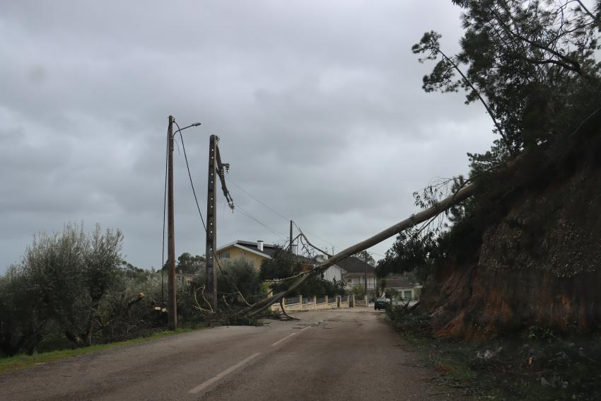 Cerca de 14% da população de Ourém sem energia elétrica