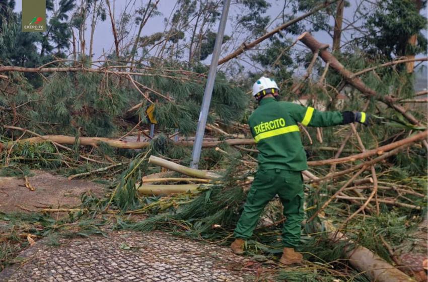 Exército com perto de 1.200 militares e mais de 200 viaturas no terreno