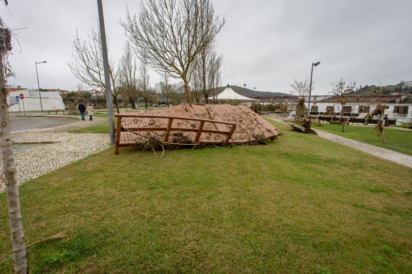 Voluntários ajudam autarquias a limpar margem em Rossio ao Sul do Tejo (c/áudio)