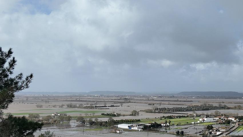 Lisboa e Vale do Tejo com 107,9 ME de prejuízos declarados na agricultura - CCDR
