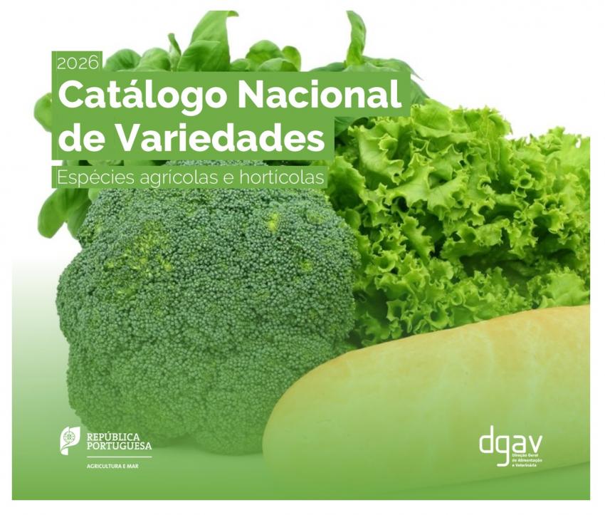 Portugal tem quase 1.100 variedades agrícolas e hortícolas