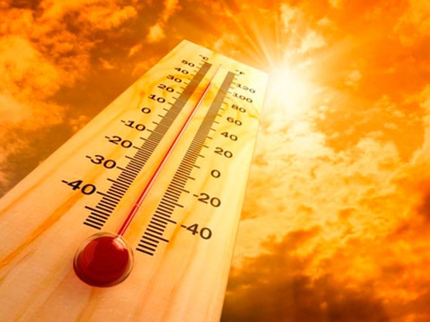 Lousã foi hoje o local de Portugal mais quente, com 46,3º C de temperatura. Alvega registou 45,2º C