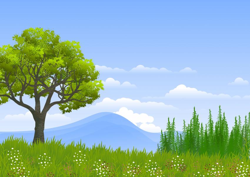 Restauração dos solos é meio mais eficaz para arrefecer planeta