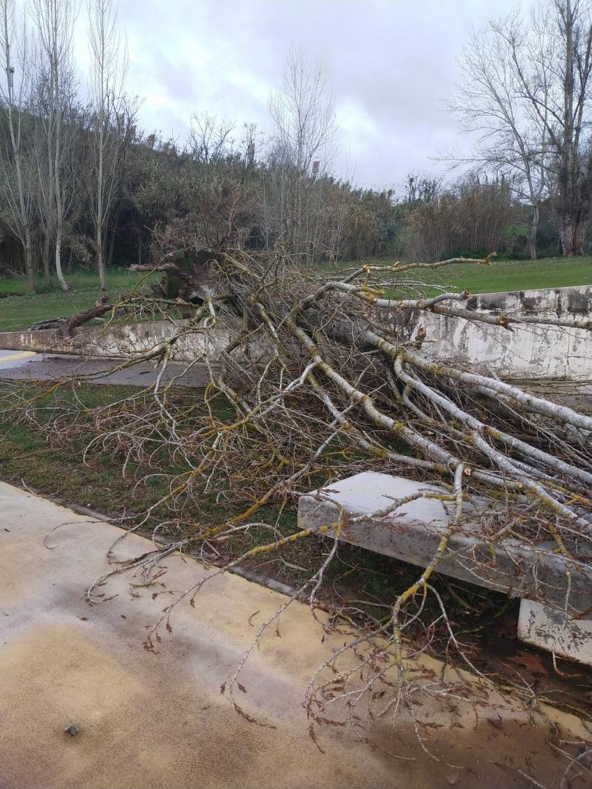 Governo aprova pacote de apoios para a sub-região do Médio Tejo de 10 ME para prejuízos de mais de 100 ME 