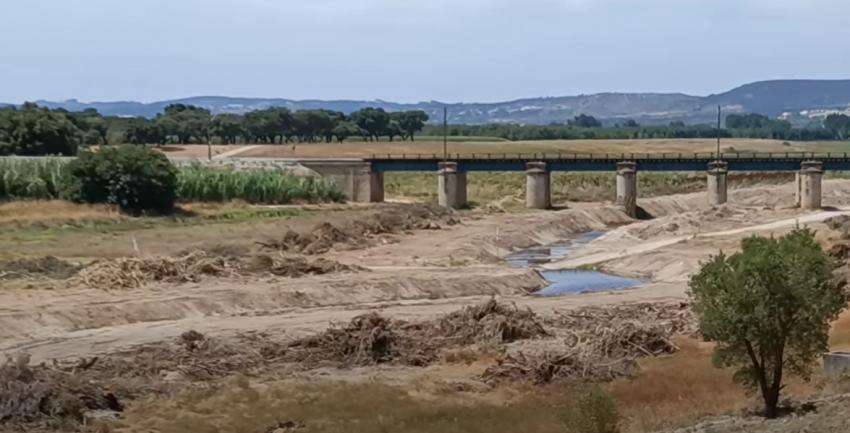 Autarca de Constância defende reposição de árvores no troço da ribeira 
