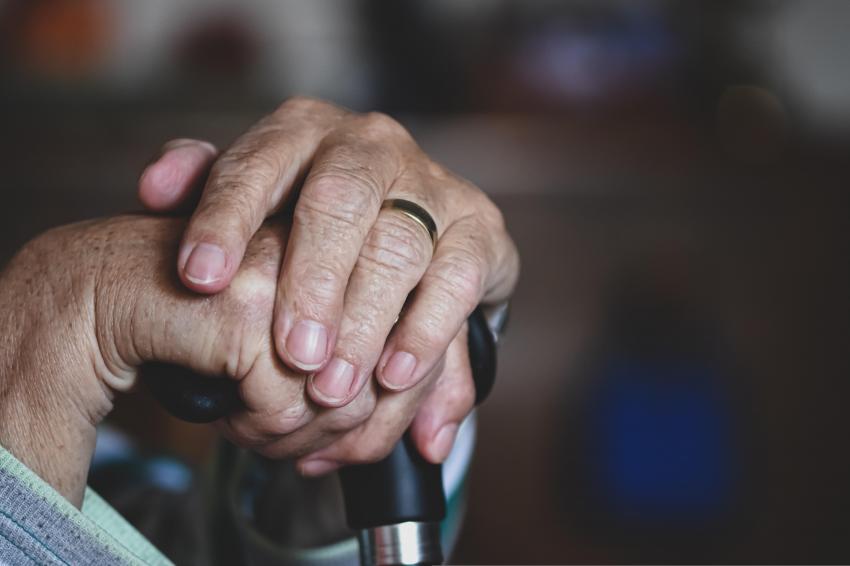 APAV apoiou 8.540 idosos vítimas de violência em cinco anos