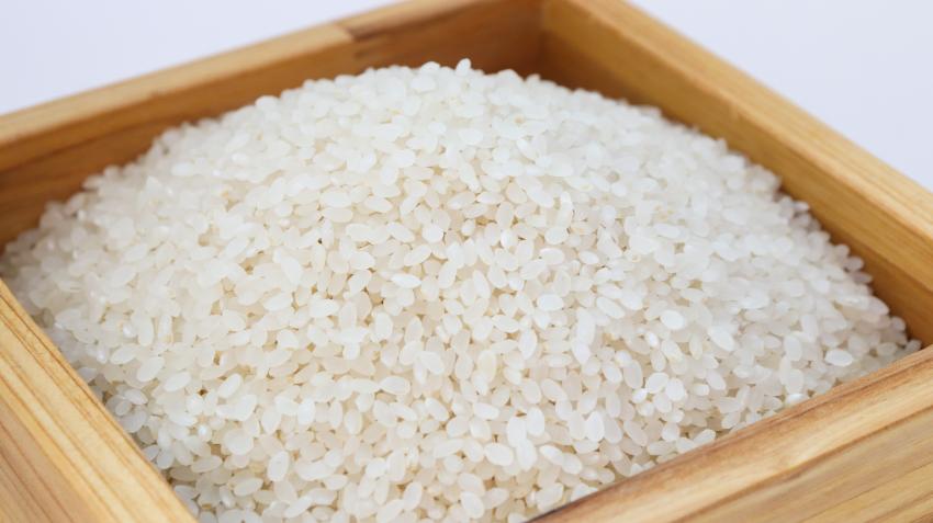 Festival do Arroz regressa a Ulme para valorizar produto identitário da freguesia