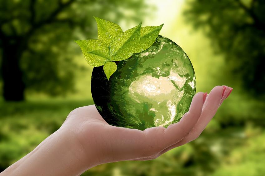 Mundo entra hoje em dívida ecológica ao esgotar recursos anuais do planeta