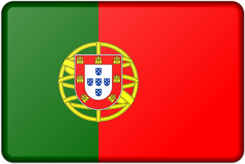 Onze candidatos, 11 perfis