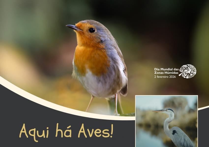 «Aqui há Aves!» no Barquinha Parque assinala Dia Mundial das Zonas Húmidas