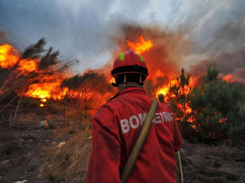 Incêndios de Mação: Dragões de Alferrarede estão a recolher bens essenciais para os bombeiros 