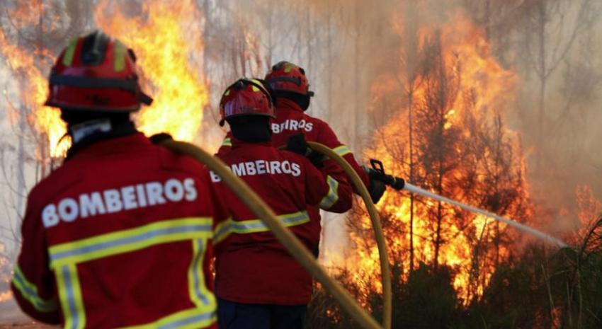 Abrantes: Incêndio na Bemposta “em resolução”. Um bombeiro ferido 