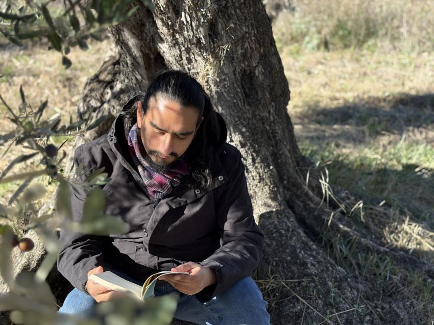 Ofereça «O presente mais antigo do mundo» é o mote da campanha de Natal da Apadrinha Uma Oliveira