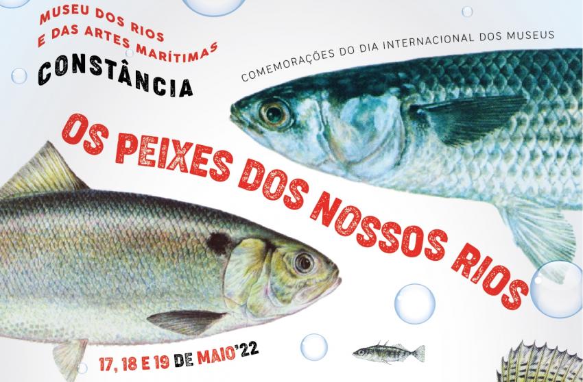 «Os Peixes dos Nossos Rios» celebram Dia Internacional dos Museus