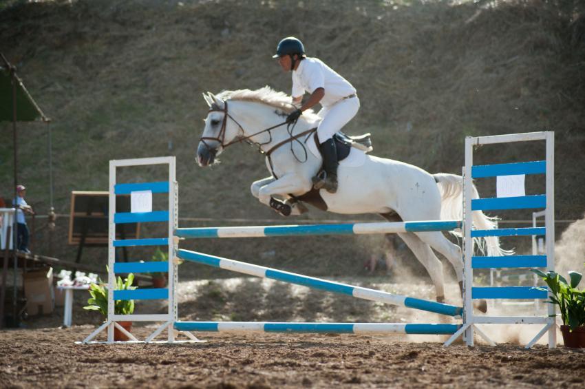 Sardoal:  Festival Hípico é um ícone nas festas do concelho 