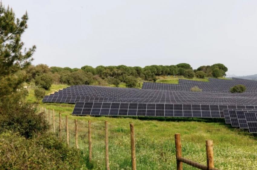 EDP abre candidaturas para programas de formação em energias renováveis