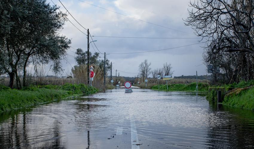 Mais de 160 vias afetadas no distrito de Santarém