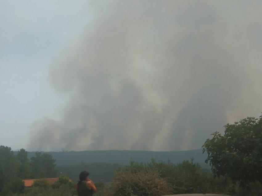 Incêndios: Aldeia de Casas da Ribeira, em Mação, evacuada - autarca