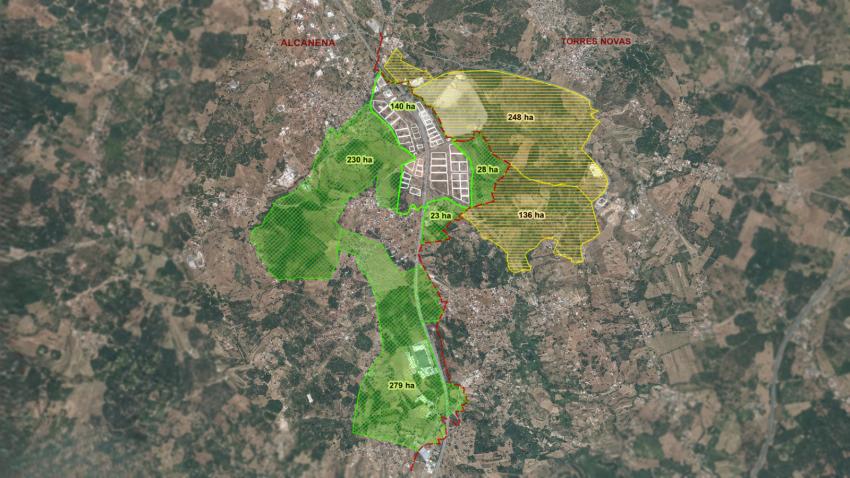 Médio Tejo quer criar parque empresarial com mais de mil hectares