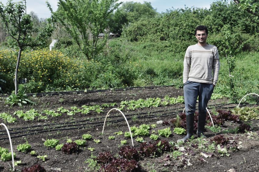 Da beterraba amarela à mostarda roxa japonesa, a horta de Nuno Alves é um laboratório de ideias e experiências no meio da natureza