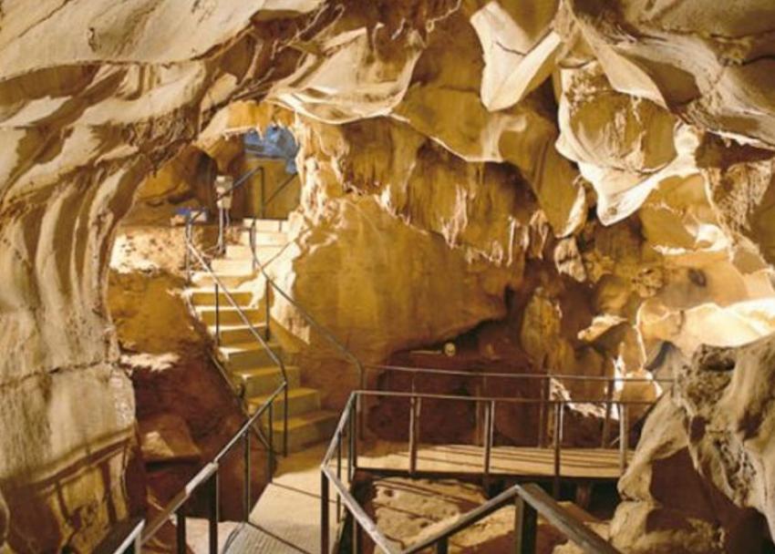 Equipa portuguesa participa em descoberta mundial de ADN pré-histórico em arte rupestre