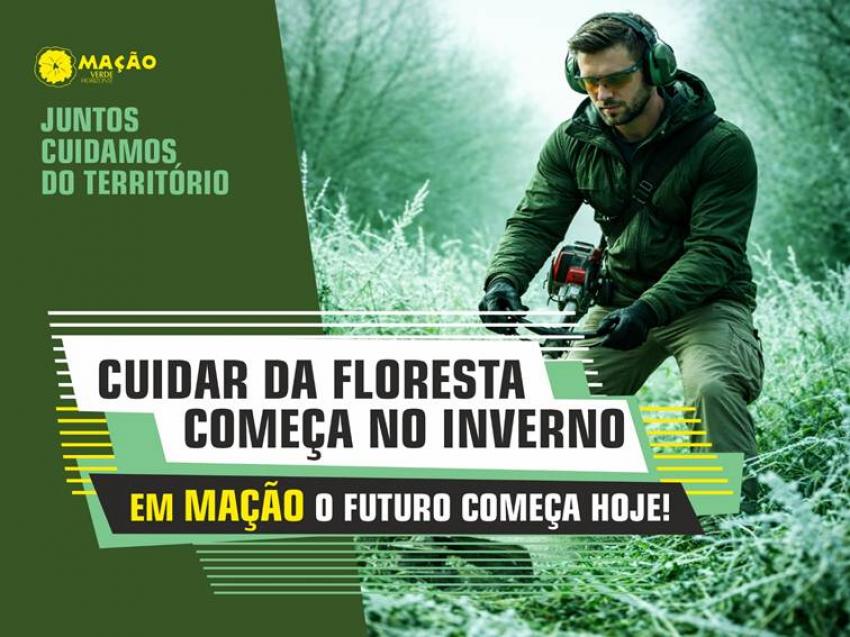 Autarquia lança campanha “Cuidar da Floresta começa no Inverno”