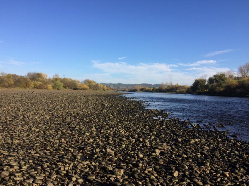 proTEJO recorre à Provedora Europeia para reivindicar caudais ecológicos no Tejo