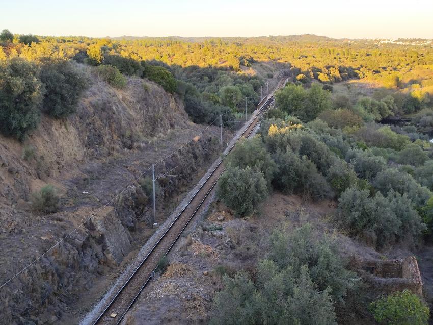 PSD de Castelo Branco preocupado com interrupção da linha da Beira Baixa