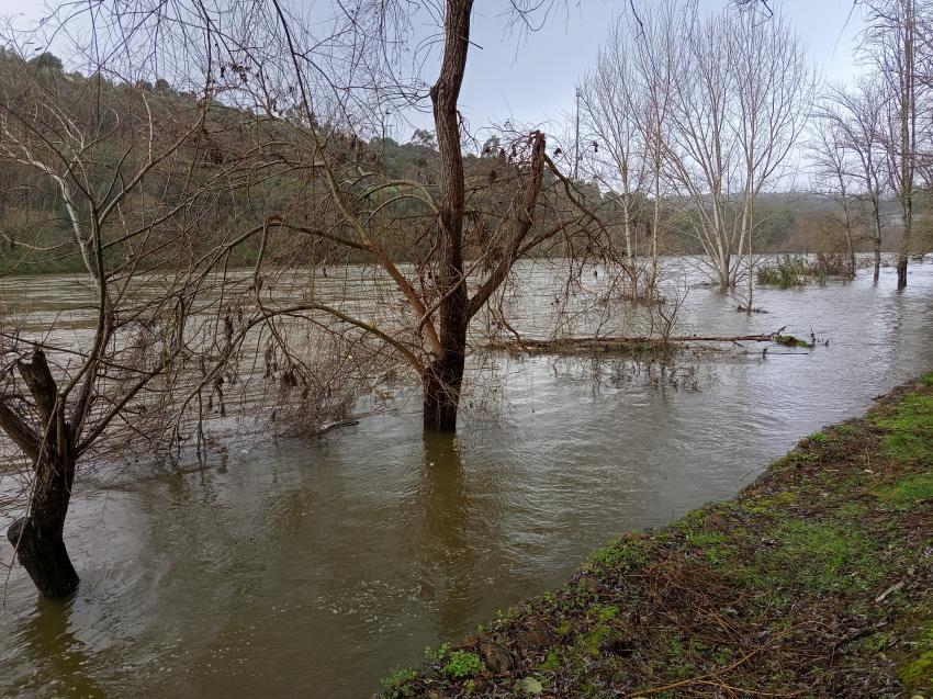 Mau tempo coloca 14 distritos sob aviso laranja