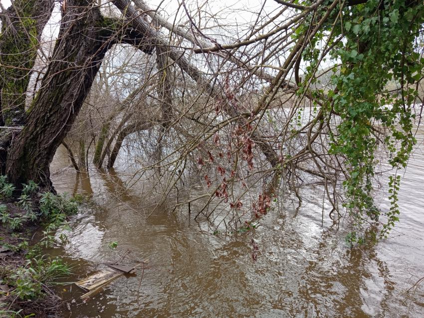Proteção Civil com 1.420 ocorrências até às 22:30 sobretudo no Centro e Lisboa