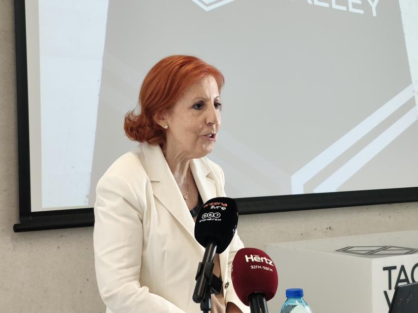 Governo adia leilão de capacidade para armazenamento de energia