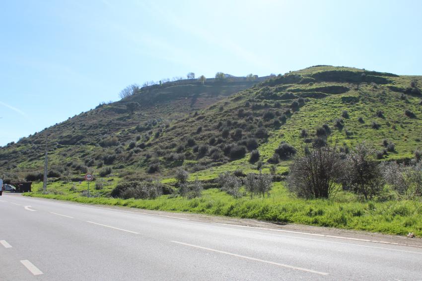 Autarquia relança concurso para grande rede de Percursos, Pontes e Ciclovias (c/áudio)