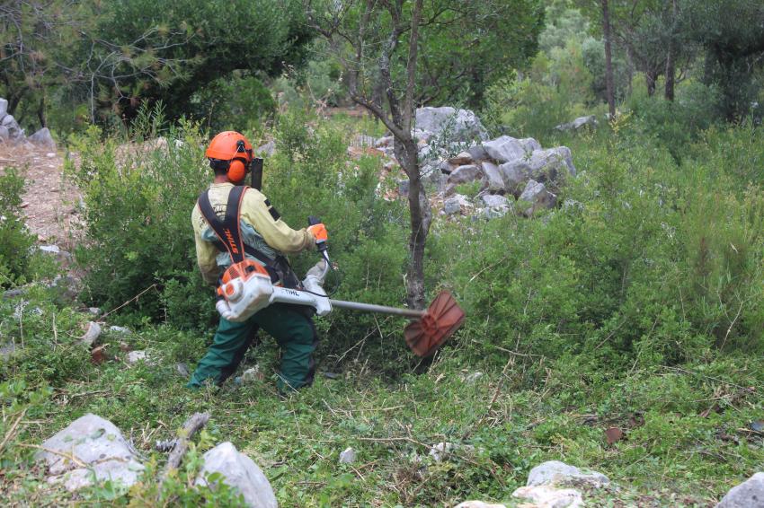 Proprietários Florestais defendem prorrogação do prazo de limpeza de terrenos