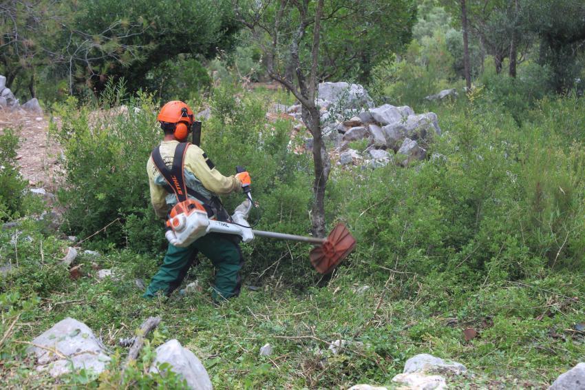 MAI repete apelos para limpeza de terrenos porque verão pode ser “muito duro”