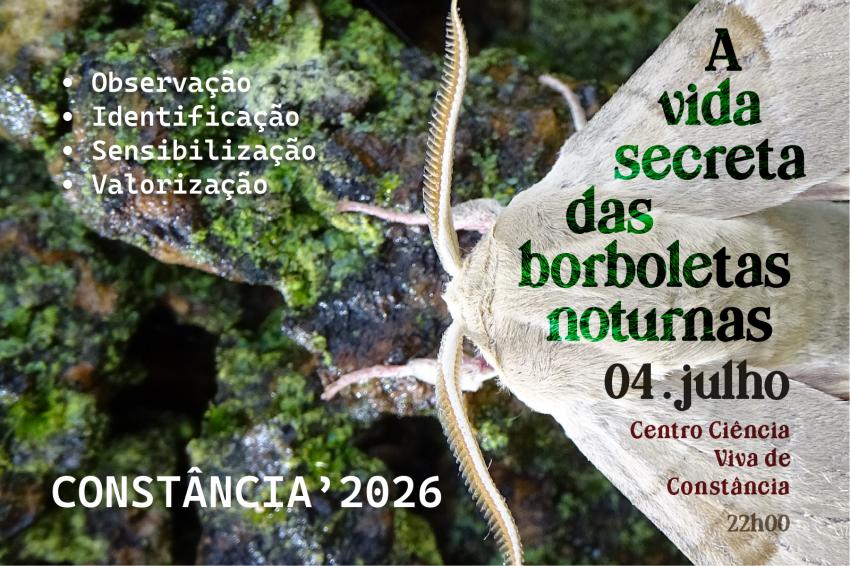 «À descoberta das borboletas noturnas!» Vai decorrer no Centro Ciência Viva