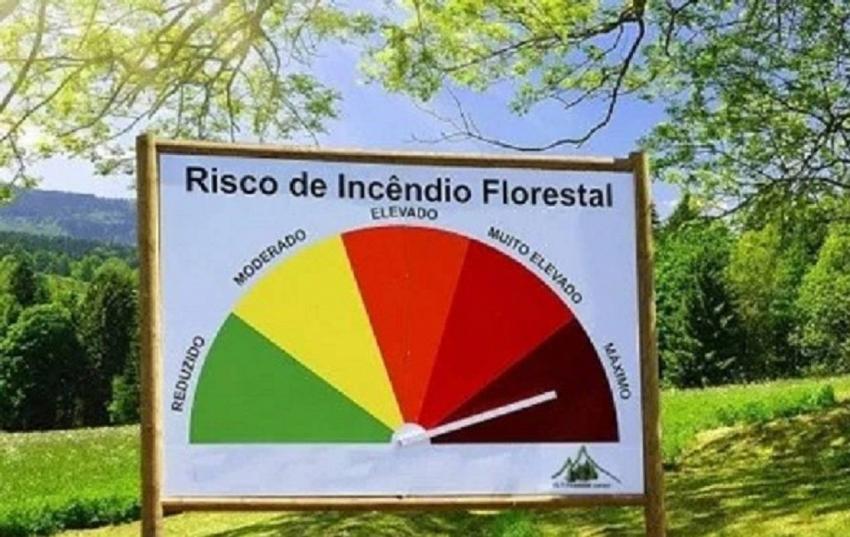 Vinte e cinco concelhos de cinco distritos em perigo máximo de incêndio