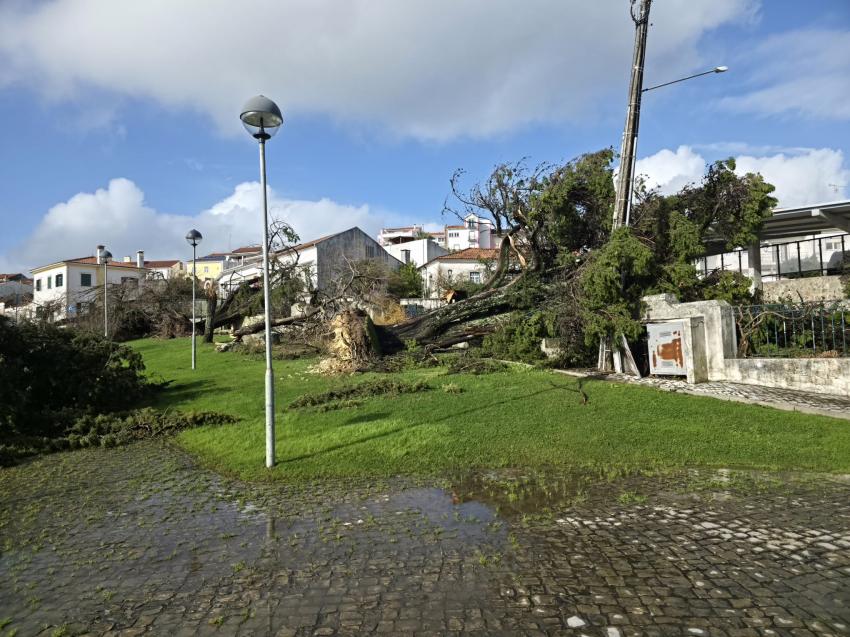 Formulários para levantamento de danos já estão disponíveis