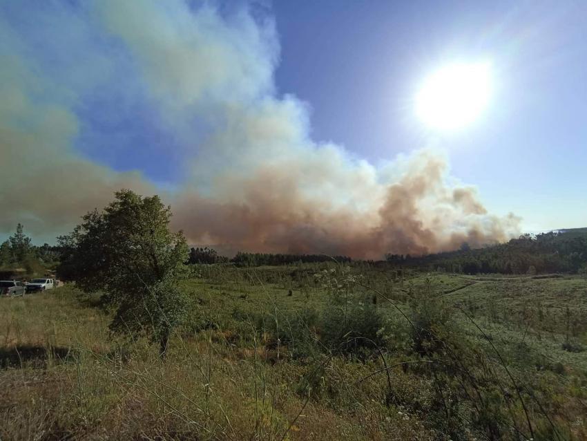 Seguro destaca contributos da agricultura na prevenção dos incêndios