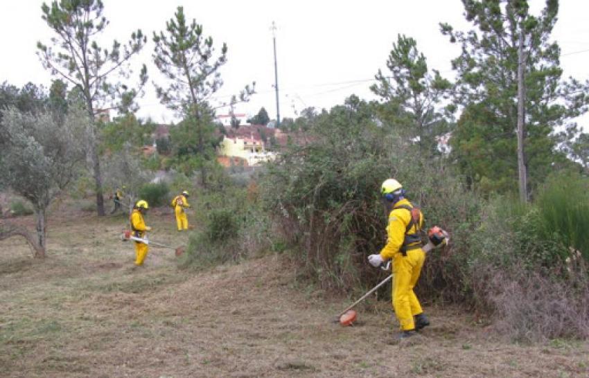 Incêndios: Governo considera “contraproducente” prorrogar limpeza de terrenos até 31 de maio