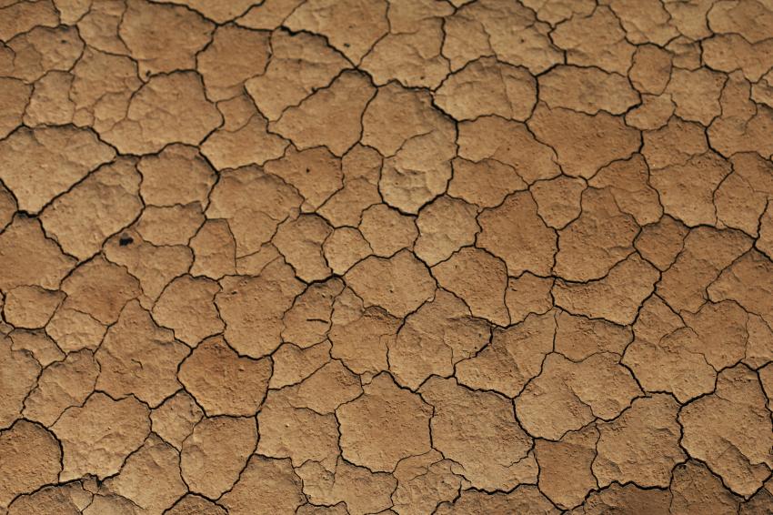 Portugal só vencerá desertificação protegendo as paisagens - associação Zero