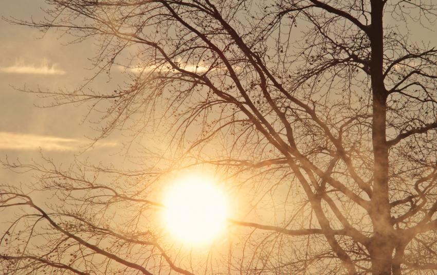 Municípios identificam locais de abrigo temporário climatizados para onda de calor