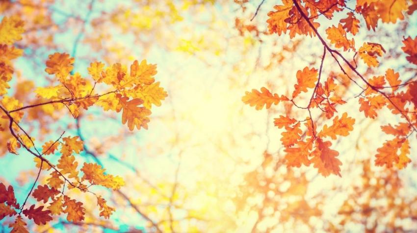 Outono começa no domingo com elevadas temperaturas 